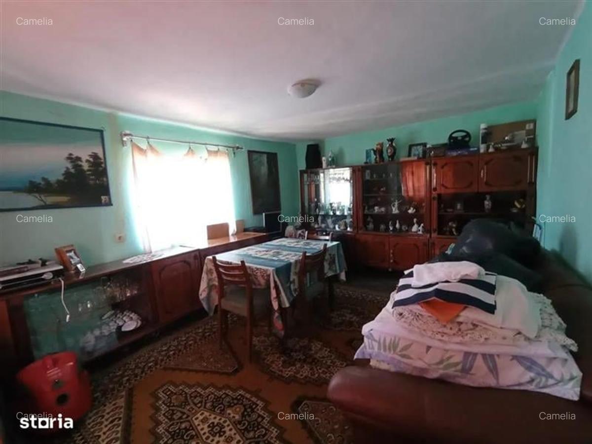 Casă cu 3500 mp Teren, Schitu-Golești, Argeș! - 15