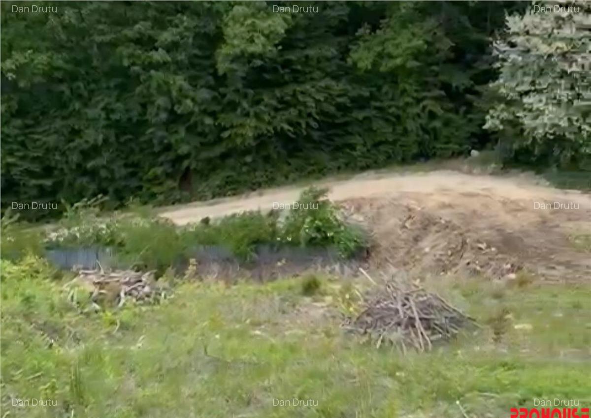 Valea Budului - Teren intravilan. Lac. Padure - 1