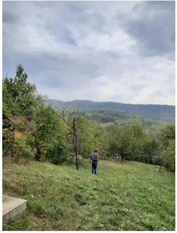 Vand casa si teren Drajna de Jos - 5 Vand casa si teren Drajna de Jos - 5