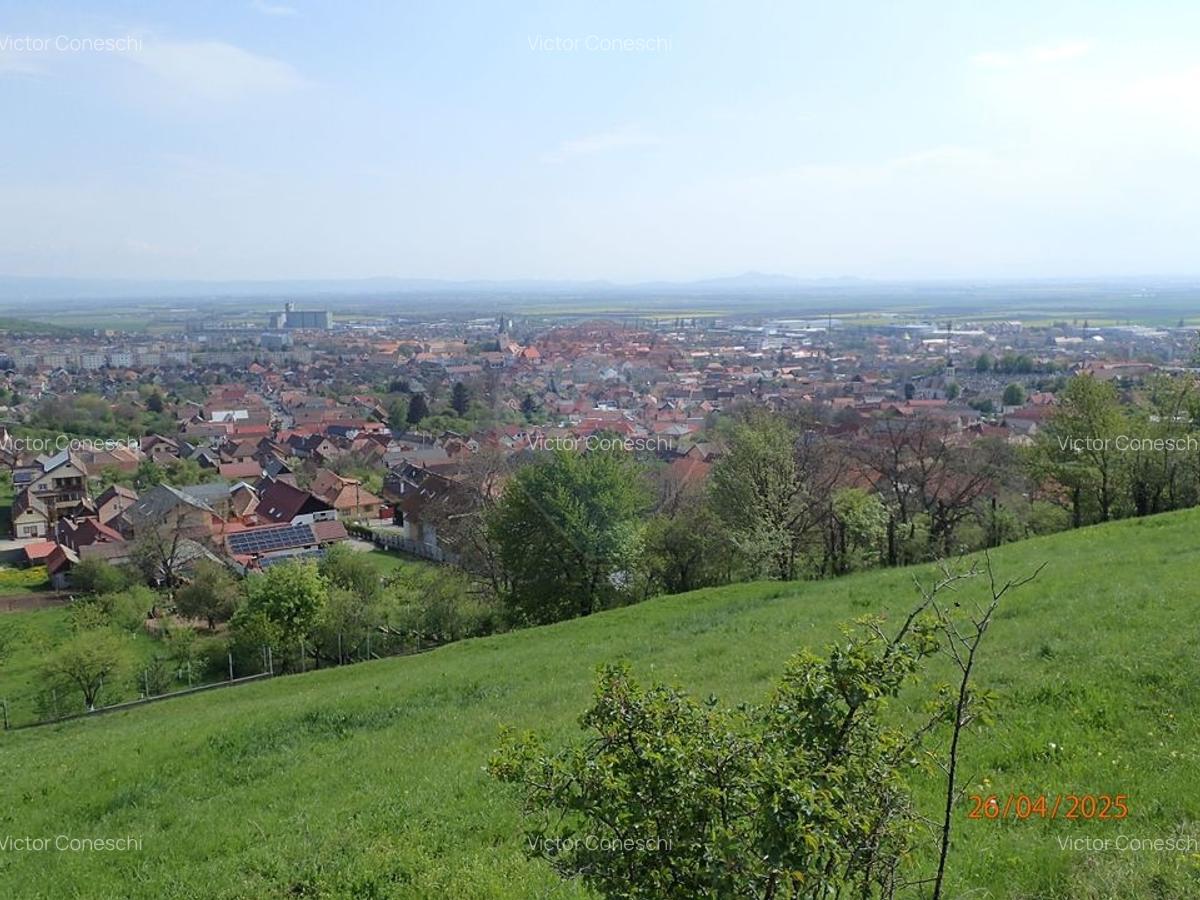 Teren intravilan 1,778mp Codlea / Strada Cetatii - 8
