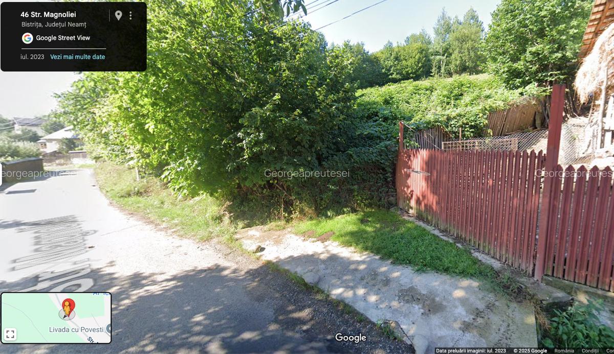 🌲 Teren 3600 mp langa Piatra Neamț, la asfalt - 2