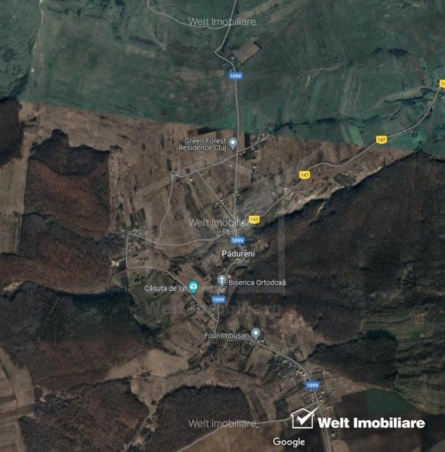 Teren extravilan, Padureni 20700 mp, alipit padure - 2