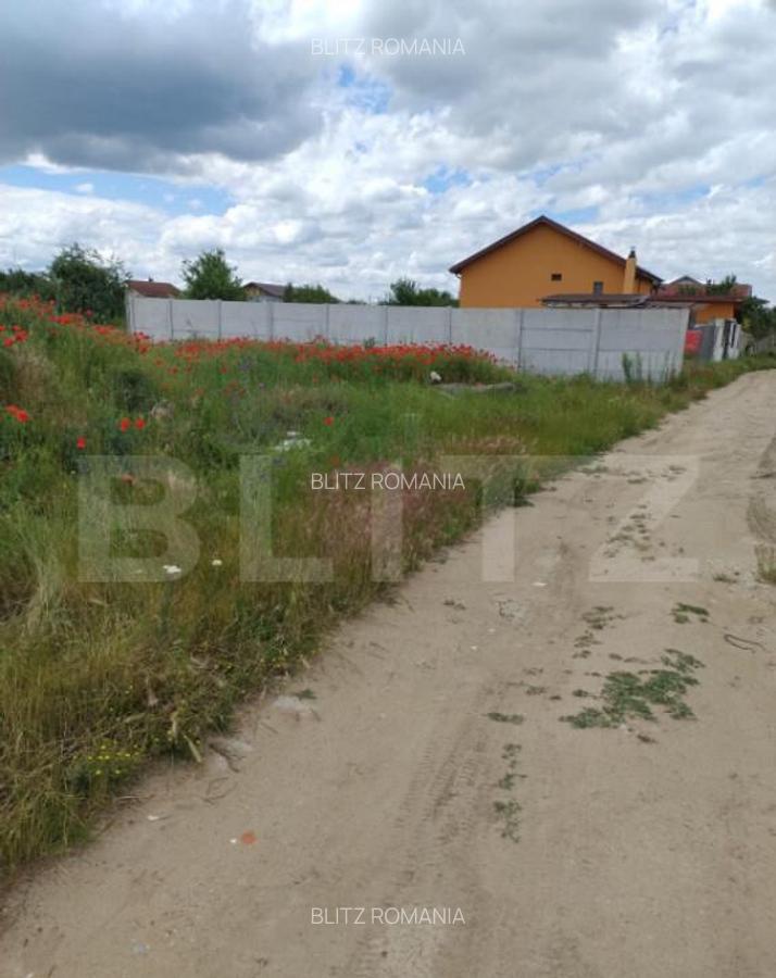 Teren extravilan, cart. Cernele, 400 mp, 22 deschidere - 7