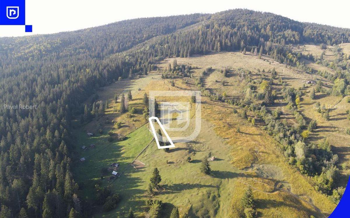 Teren situat in Frasin | BUCOVINA - 7 Teren situat in Frasin | BUCOVINA - 7