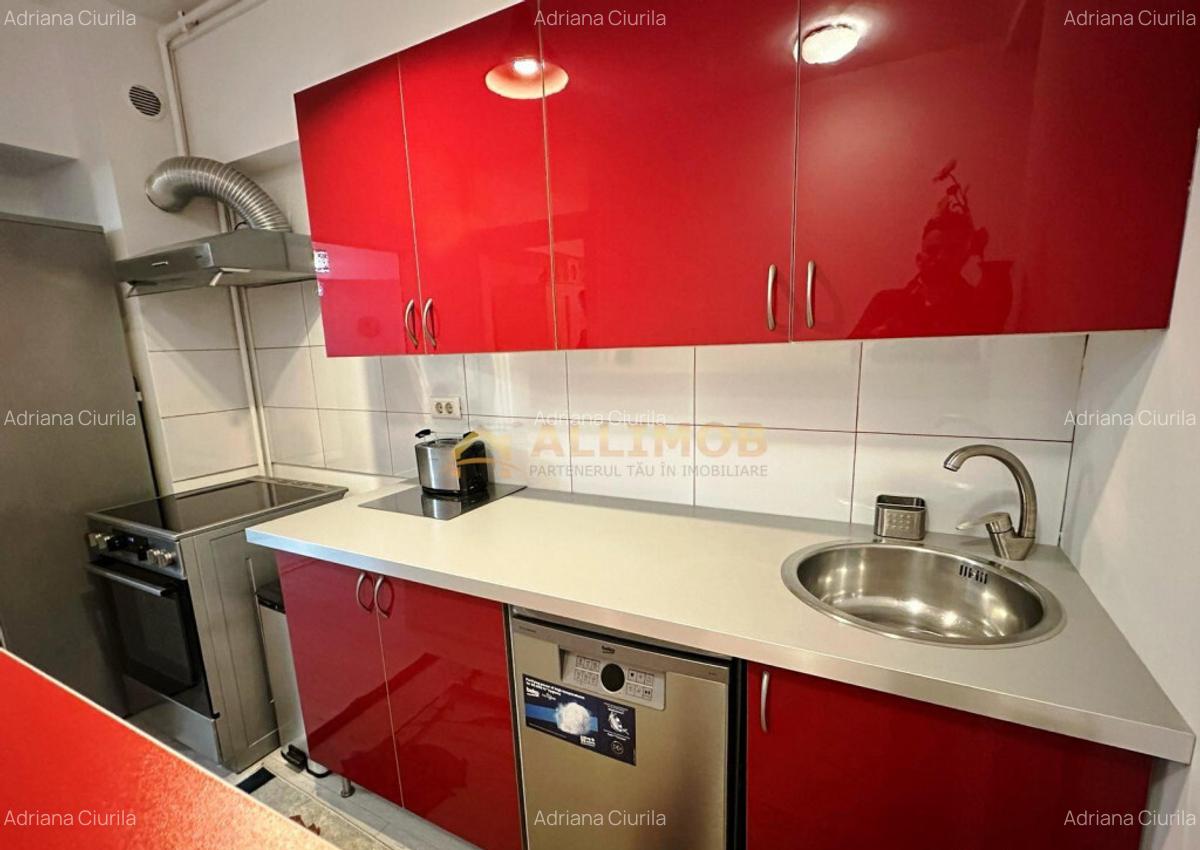 Apartament 2 camere zona Herastrau - 10