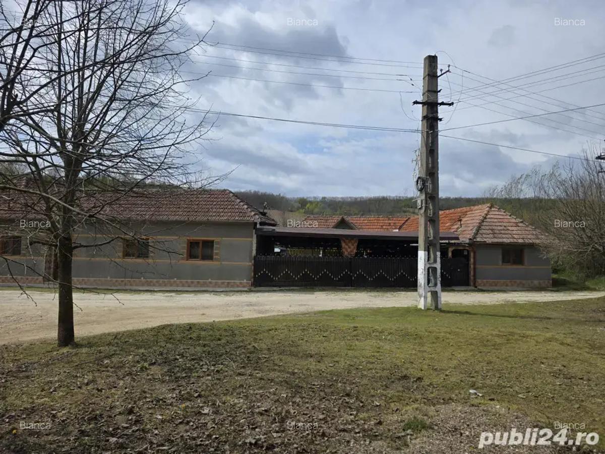 Vand casa la tara - 4