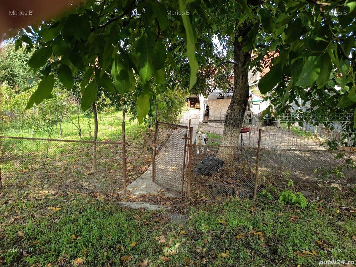 Vand casa pentru doua familii , Satu Mare - 5