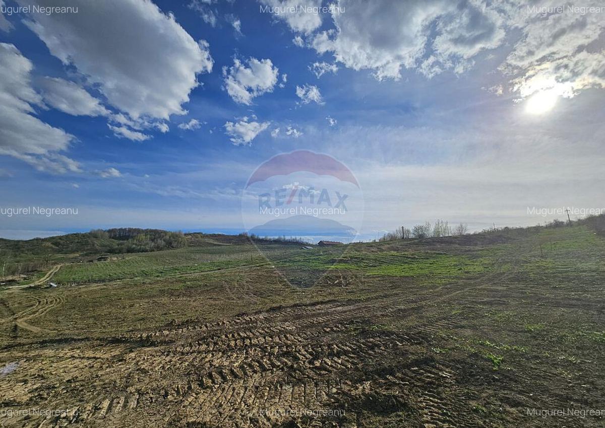 15 parcele de 1000 mp de vanzare in Breaza Prahova- toate... - 9 15 parcele de 1000 mp de vanzare in Breaza Prahova- toate... - 9