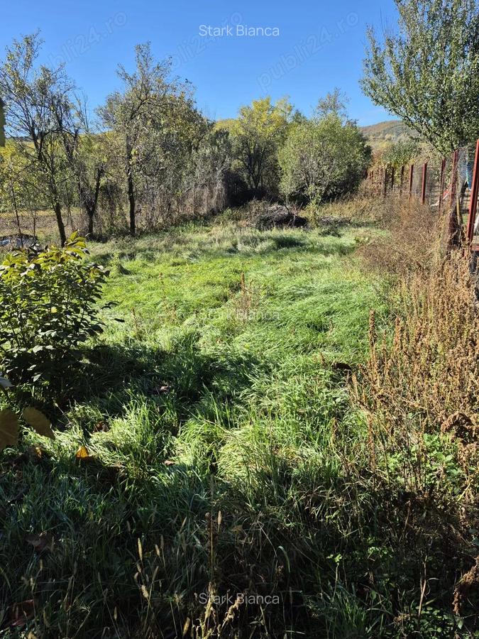 Casa batraneasca aflata in inima localita?ii Buchin, a?teapta o noua familie sa ii dea via?a din nou - 3