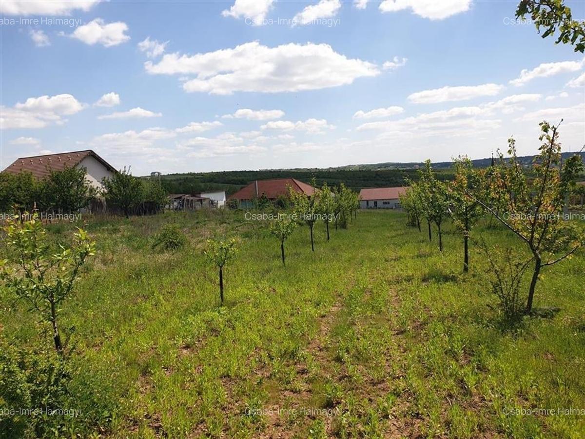 Teren Construcții intravilan de 2929 mp, în Săldăbagiu de Munte - 4