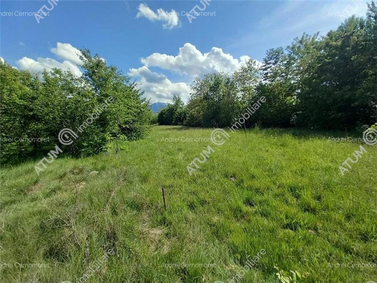 Teren intravilan 2100 mp de vanzare pe Valea Avrigului in Sibiu - 4