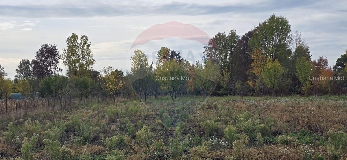 Teren generos cu potential in comuna Silindia, judetul Arad - 3