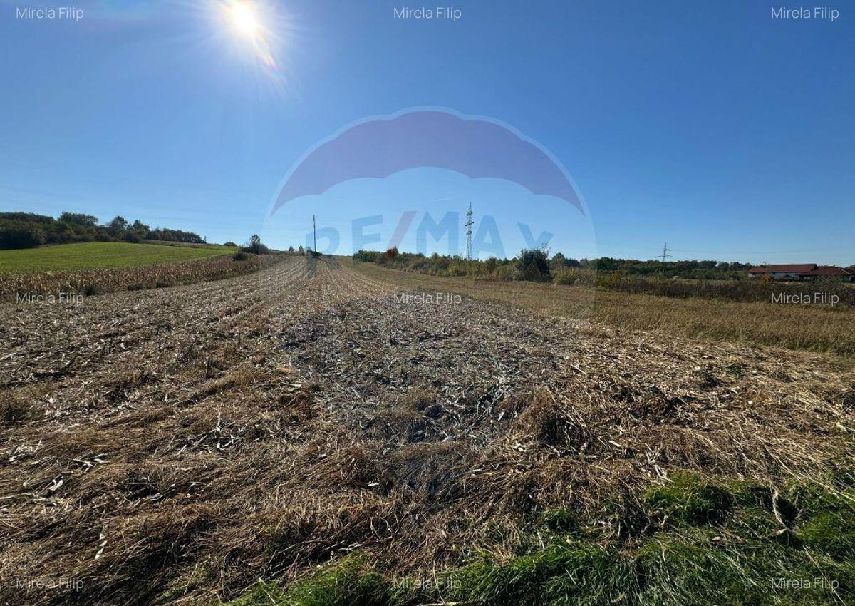 TEREN DE VANZARE - Satu Mare zona Lucian Blaga - 2