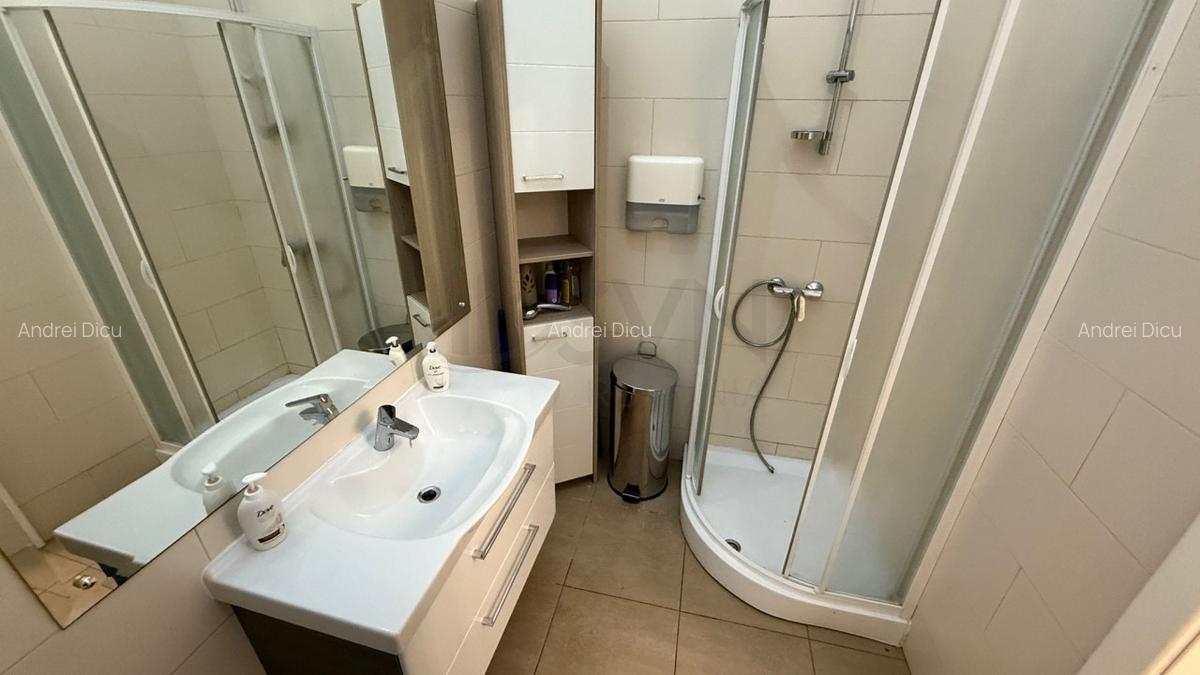 REA1024975 Apartament 4 Camere I De Inchiriat I Cismigiu - 10