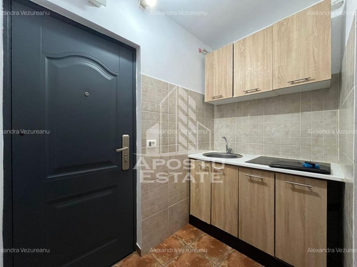 Apartament cu 1 camera, complet renovat in zona Iosefin - 3