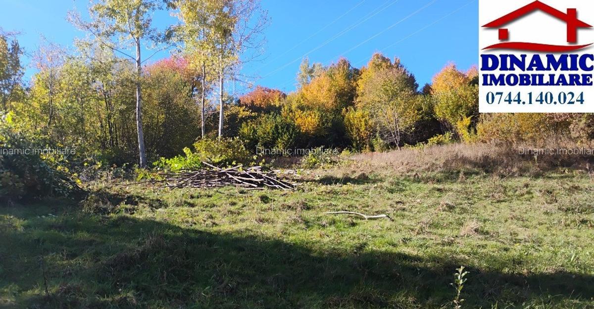 3600 mp teren intravilan, sat Bistrita, 16 Euro/mp - 3