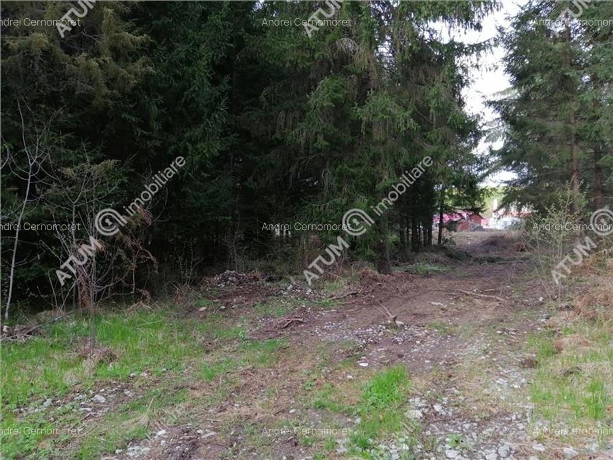Teren intravilan de vanzare in Avrig zona Valea Avrigului - 3