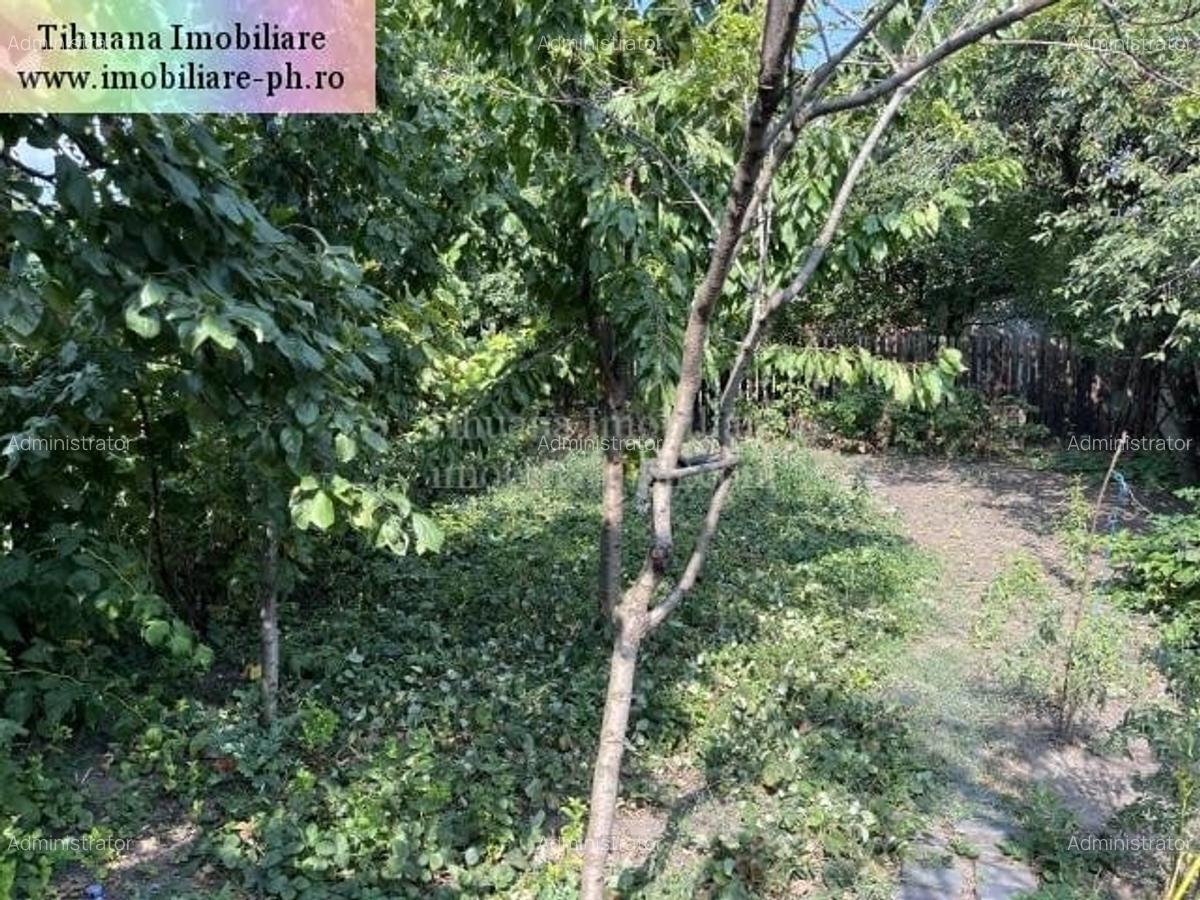Casă individuală cu 4 camere în Buna Vestire - 6