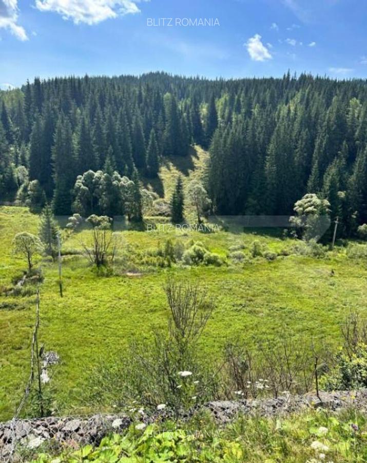 Teren intravilan de vanzare, 6941 mp, zona Mestecani? - 1