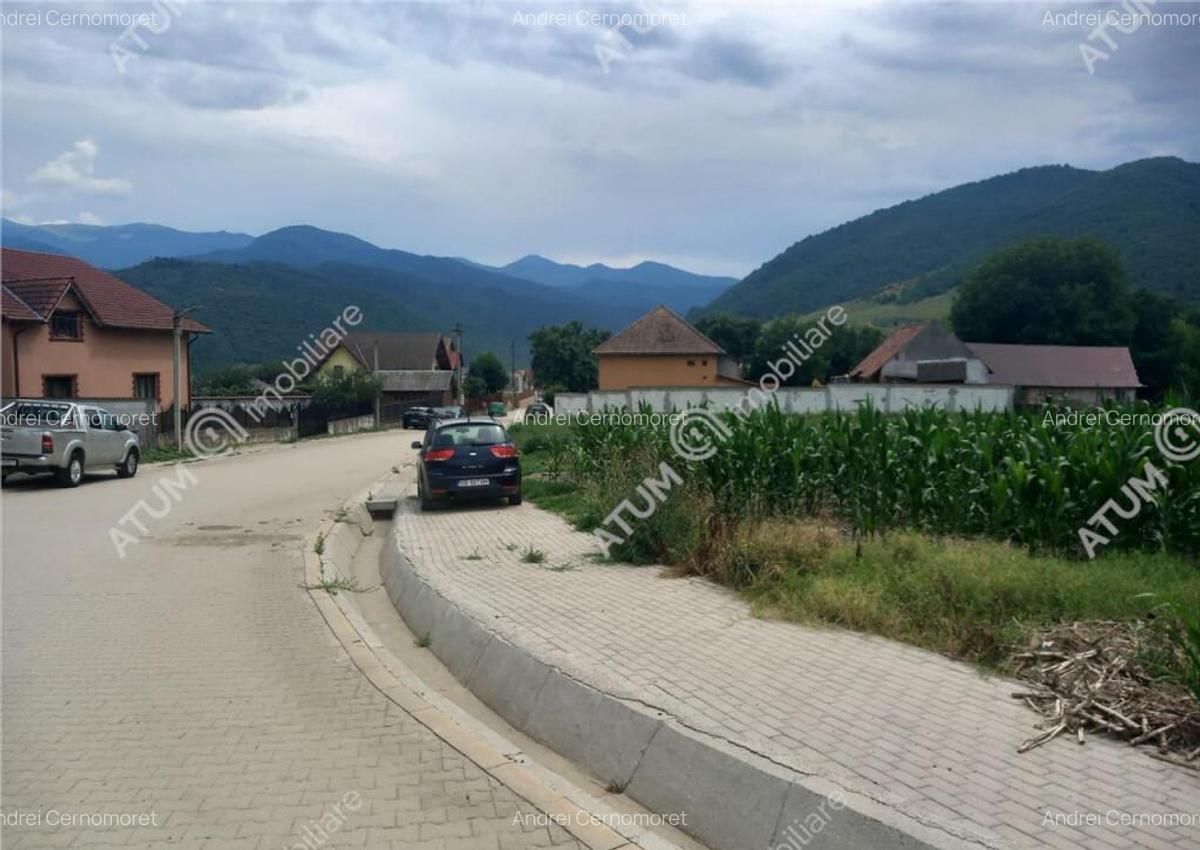 De 733 mp in Boita Sibiu - 7