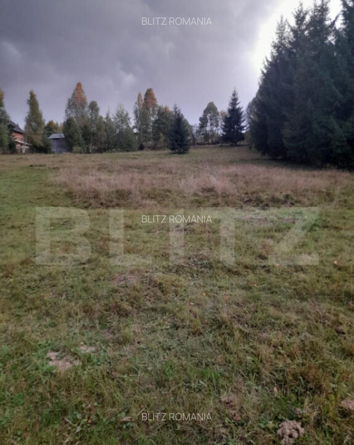 Teren intravilan de vanzare, 2280 mp, Vatra Dornei - 3