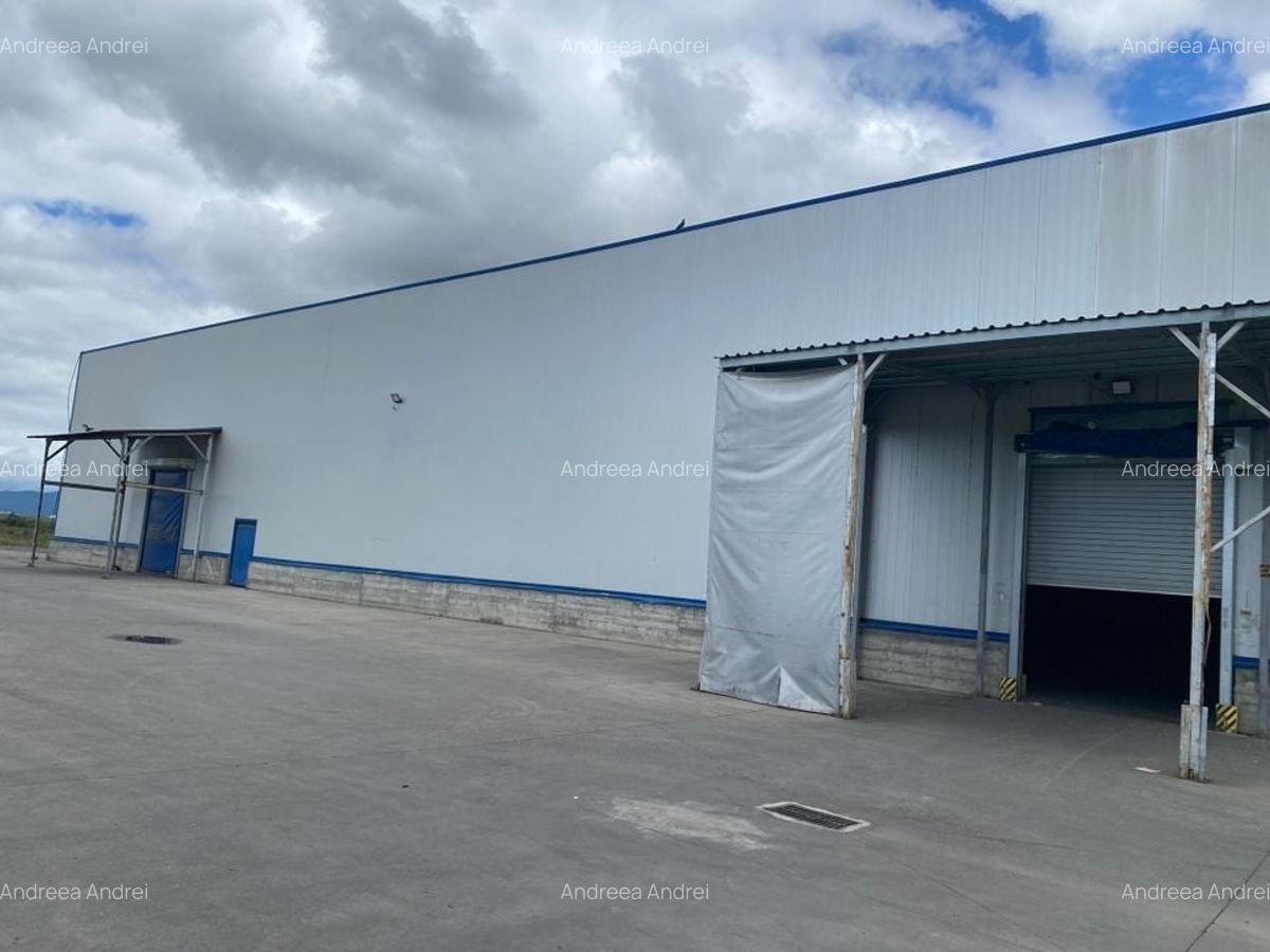 Spațiu industrial, 5500 mp în Feldioara - 7