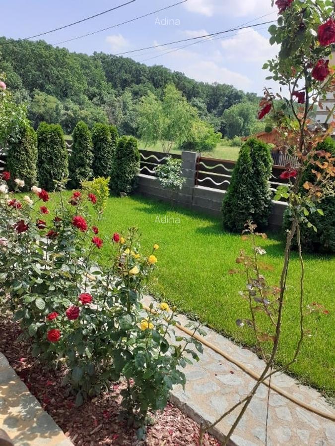 Proprietar vând casă în Dumbravița - 14