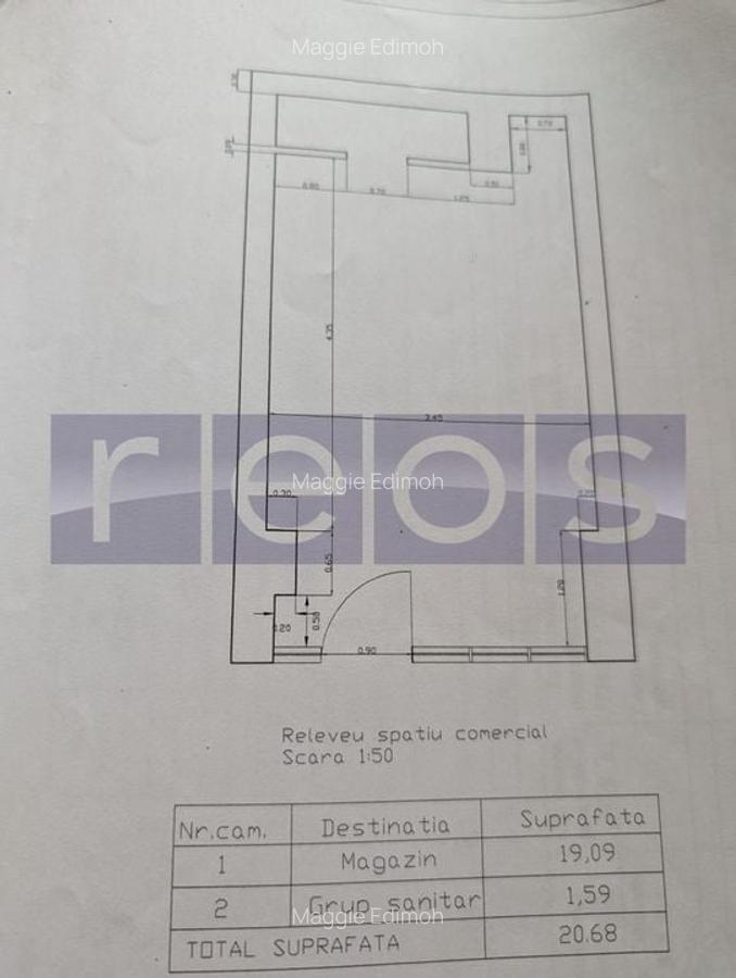 VANZARE SPATIU COMERCIAL | TEIUL DOAMNEI | 21MP | VITRINA STRADALA | - 4