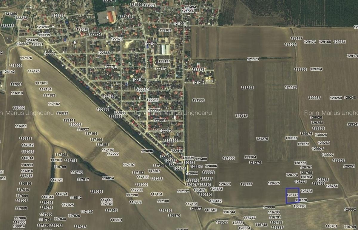 Teren agricol intravilan de 8500 mp, în Valu lui Traian - 4