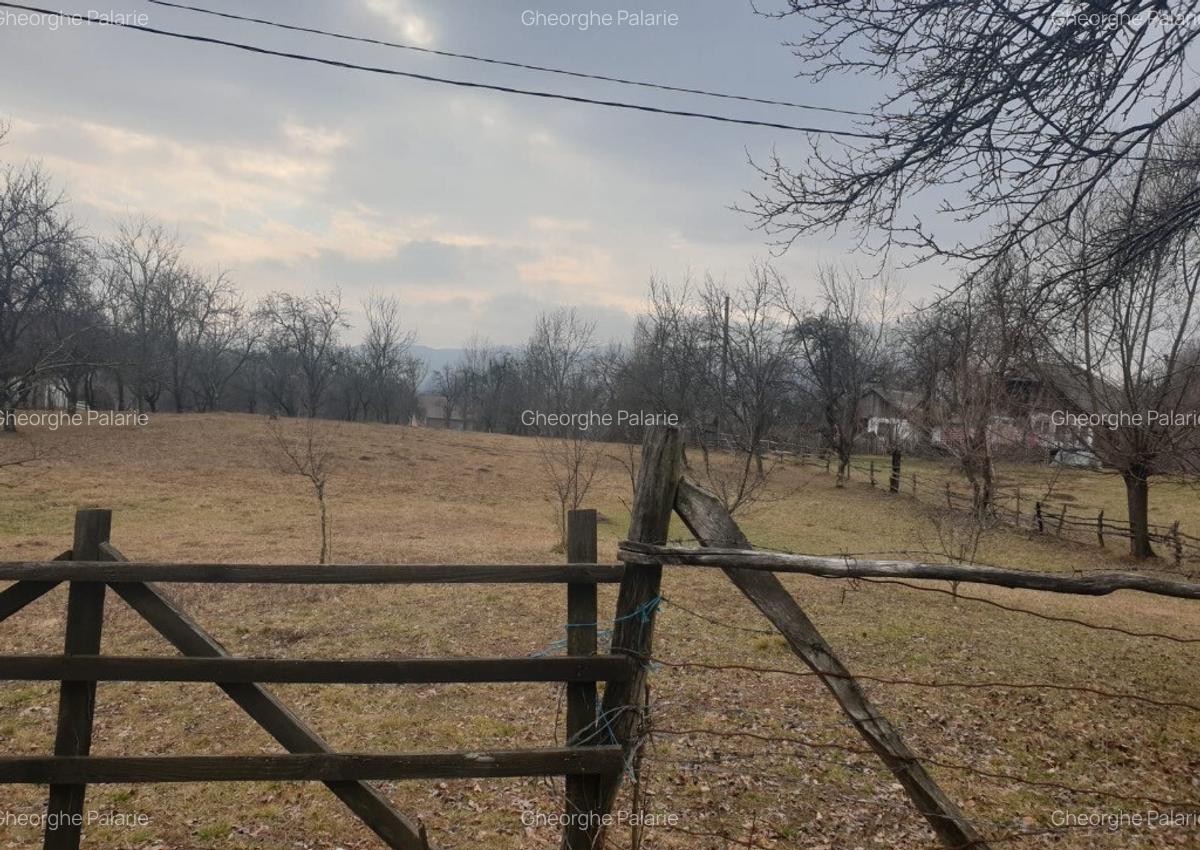 Vand teren 2911mp intravilan, sat Brebu, jud. Dambovita - 1