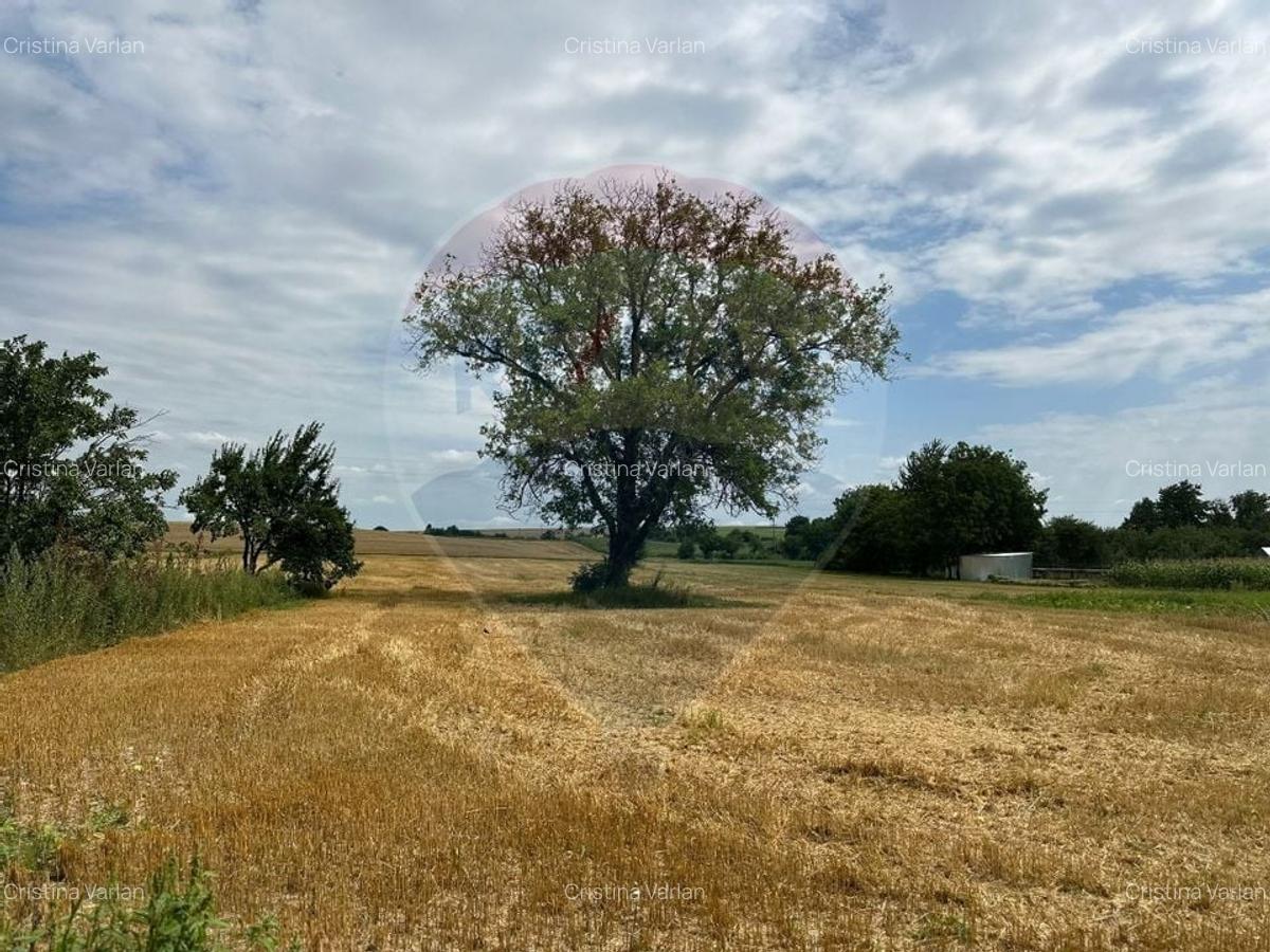 Teren intravilan 4.779 mp + casa si anexe - Girov, Neamt - 1