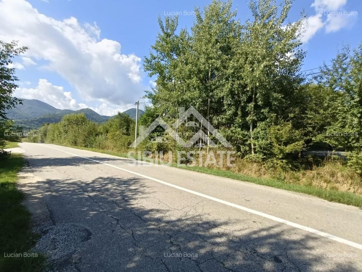 Teren  construibil ,la sosea, intre Vale si Sibiel, zona cu potential - 3