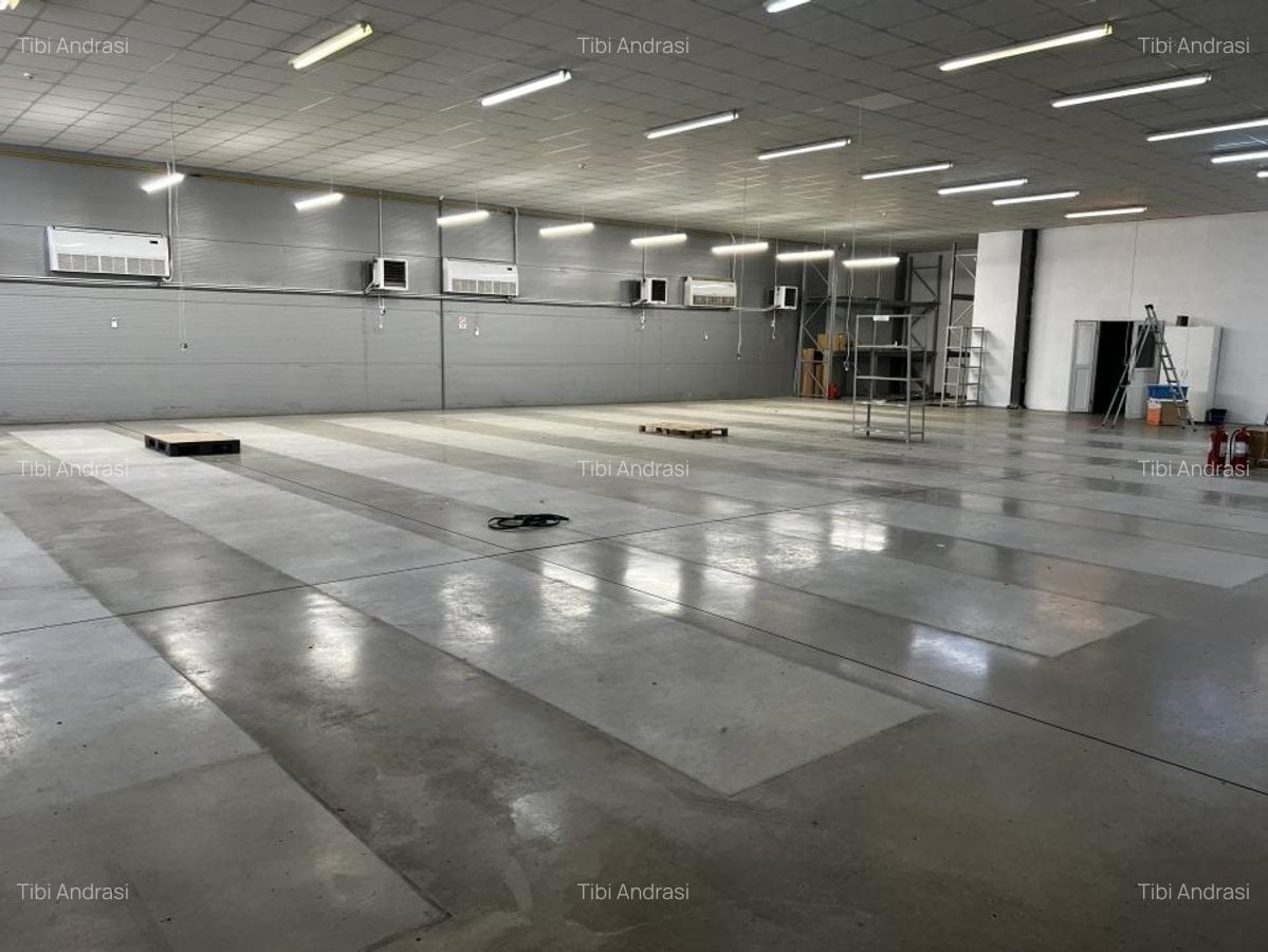 Hala moderna / Productie / Depozitare / Depozit farma - 4