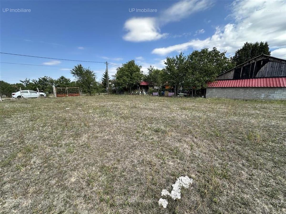 TEREN INTRAVILAN 1226 MP | ZONA CHISIRID - 5