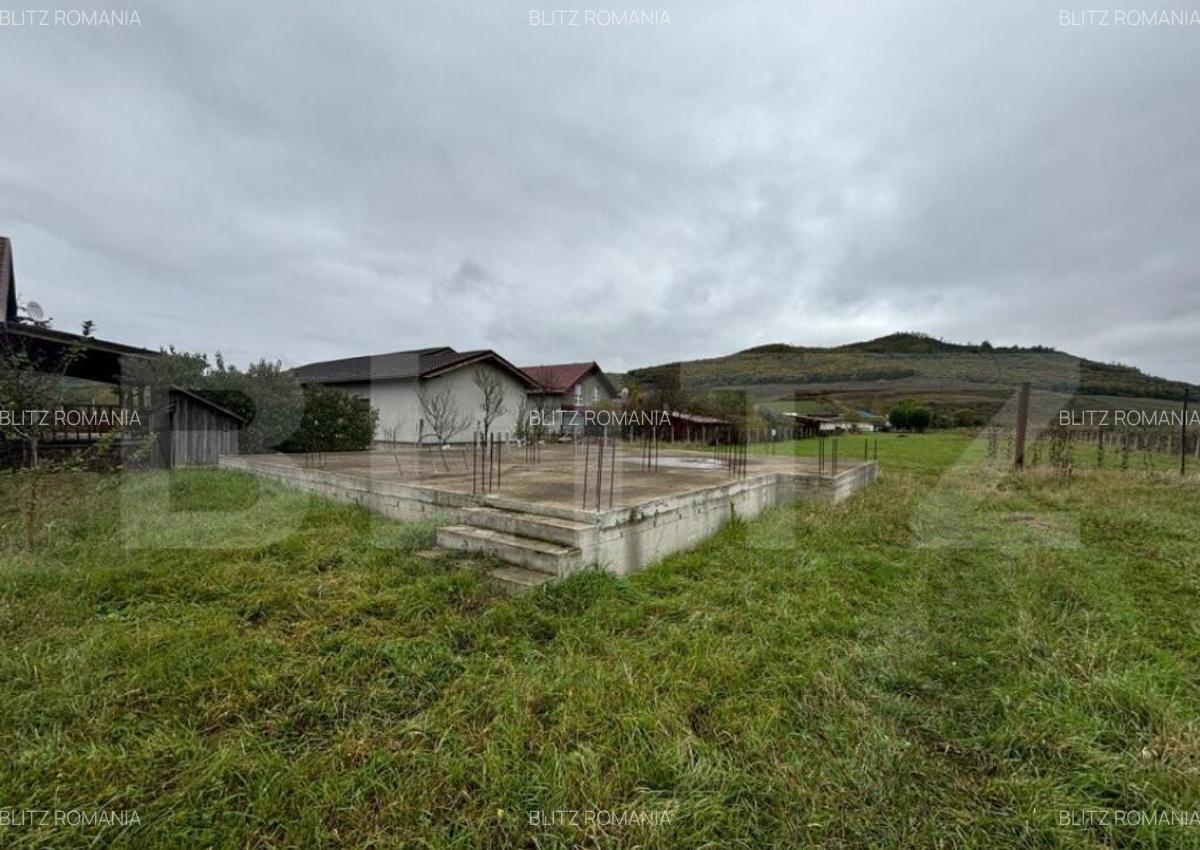 Teren 4000 mp,autorizatie de constructie Lechinta - 10