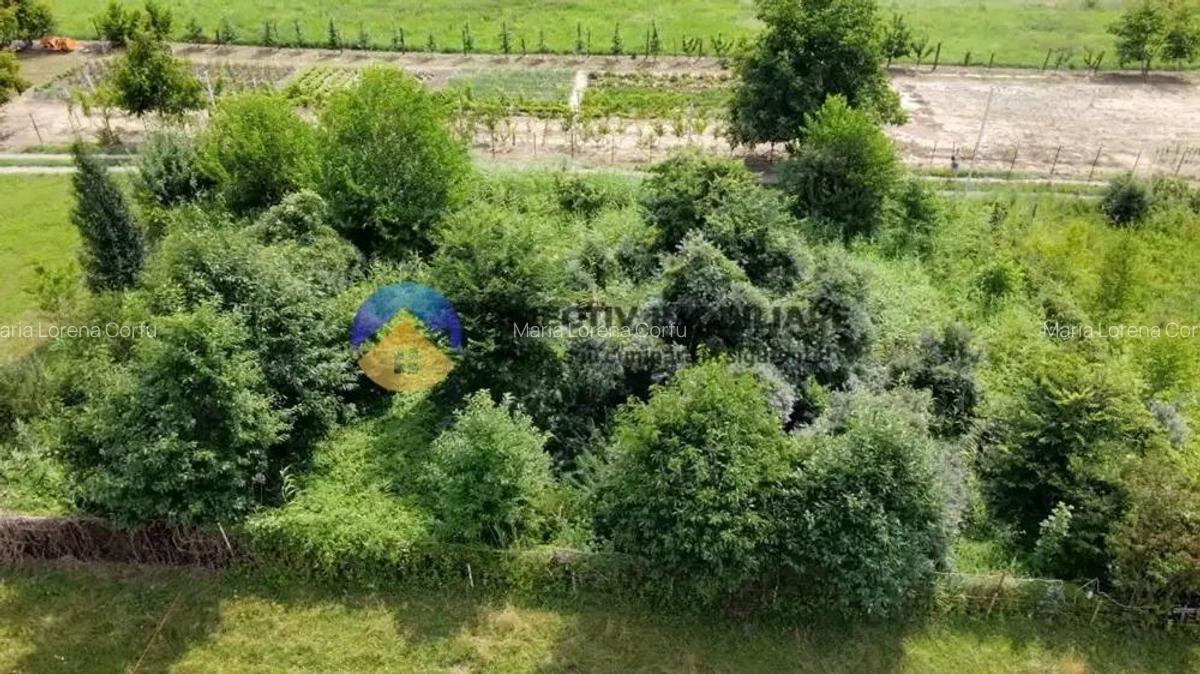 Teren intravilan com. Alexandru cel Bun- Viisoara - 9