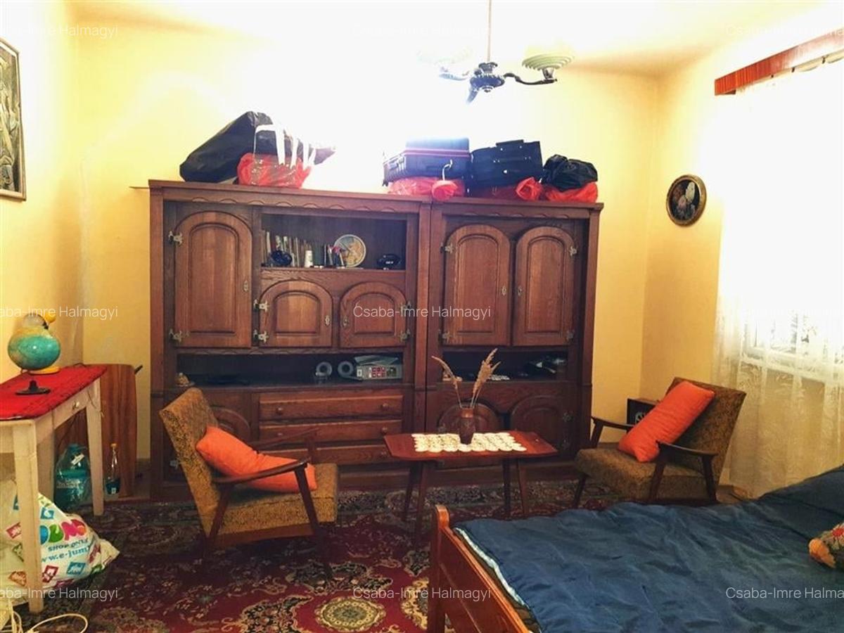 Casă individuală cu 2 camere în Ginta - 26