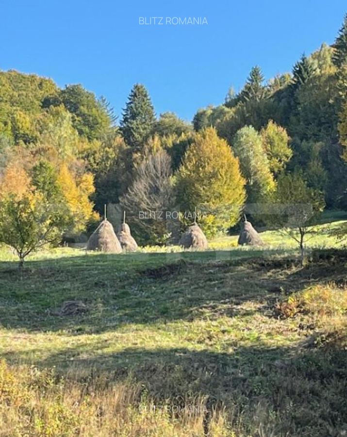 Cabana de lemn, 7 camere - afacere la cheie - Brasov - 33