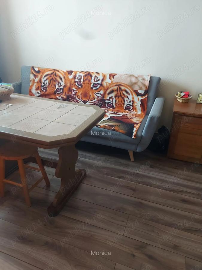 Casa tip cabana cu livada jud Alba - 5