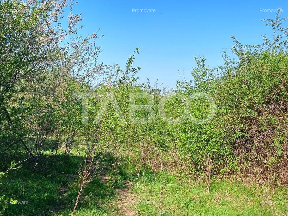 Teren intravilan 4280 mp acces la drum si utilitati zona deosebita - 5