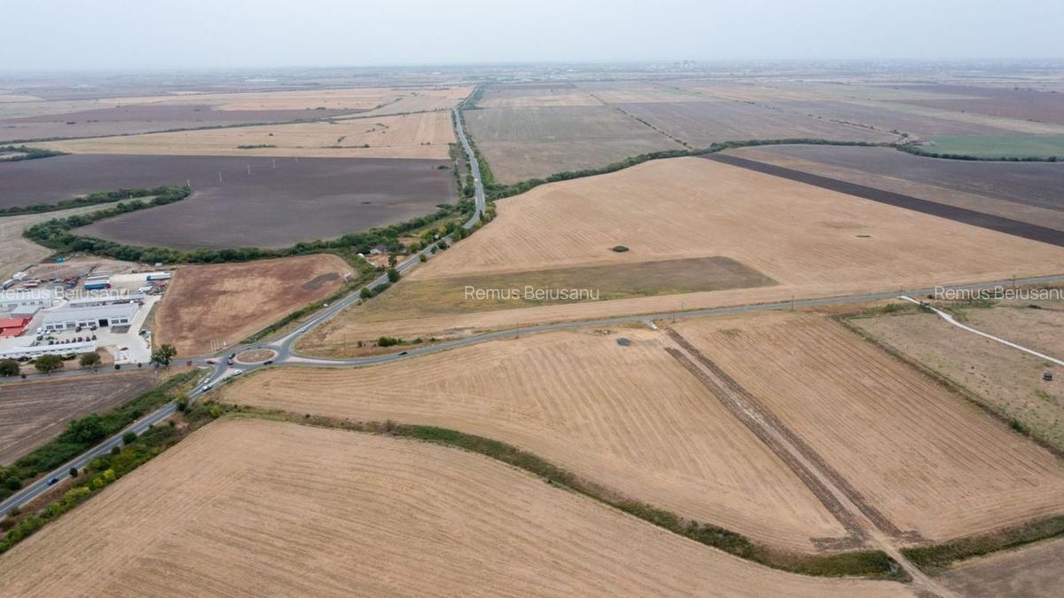 Teren agricol extravilan de 31383 mp, în Dudeștii Noi - 6