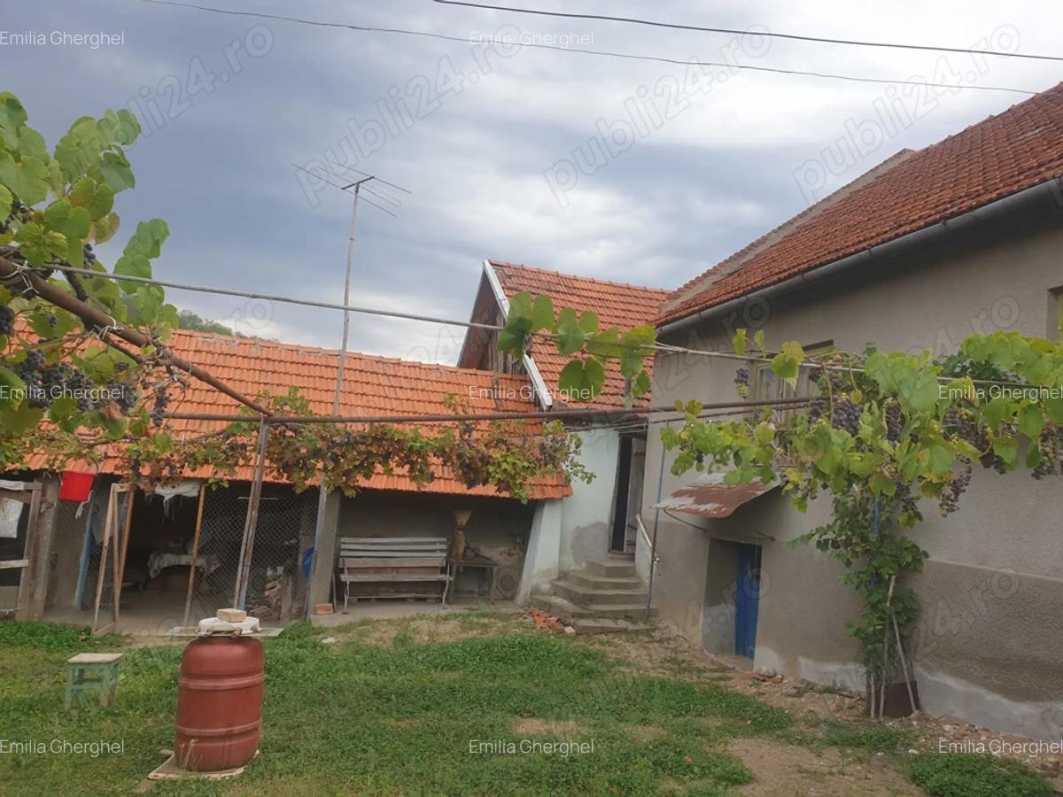 Casa de vanzare cu gradina 8000m - 1