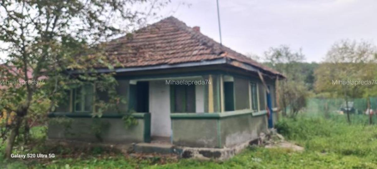 Vând teren intravilan Snagov - 7