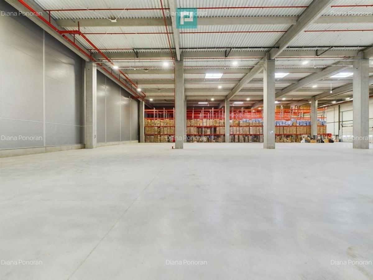 Spatiu industrial clasa A centura nord vest, Chitila. - 9