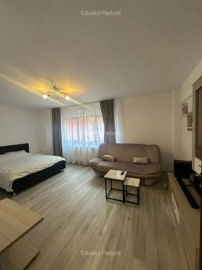 Apartament 1 camera -Podu de fier- - 4