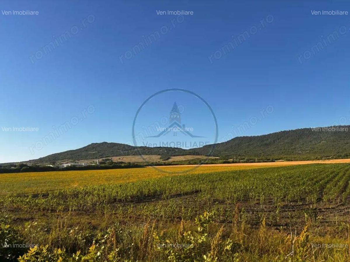 Teren Intravilan 5100 mp Sieu Magherus - 2 Teren Intravilan 5100 mp Sieu Magherus - 2