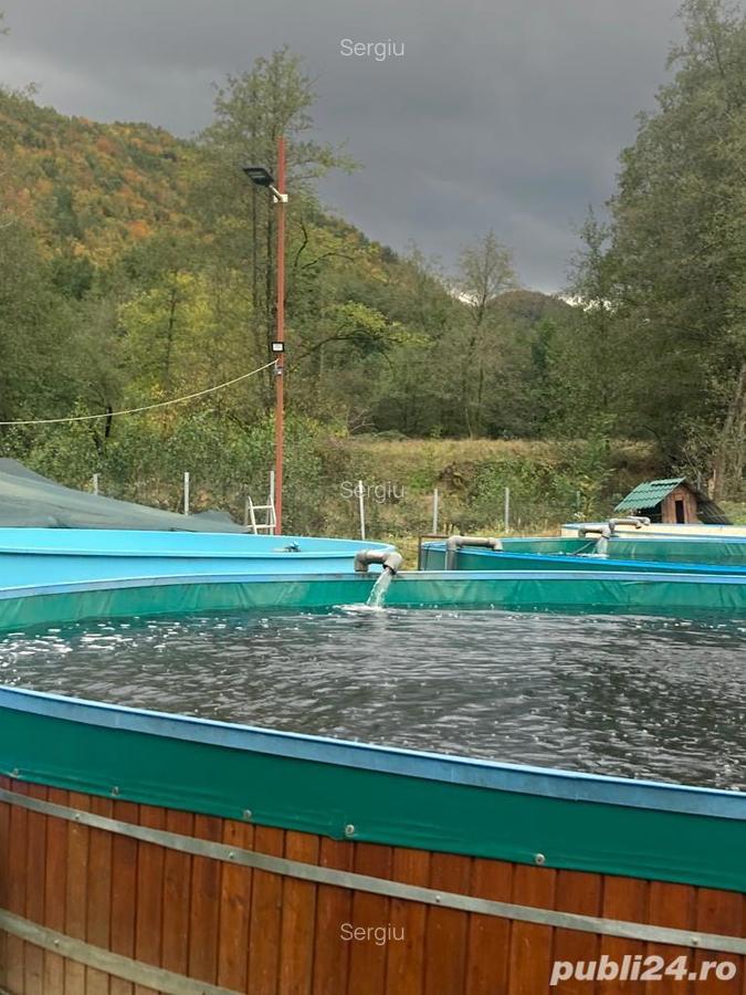 Vand Ferma Piscicola. Afacere la cheie - 6