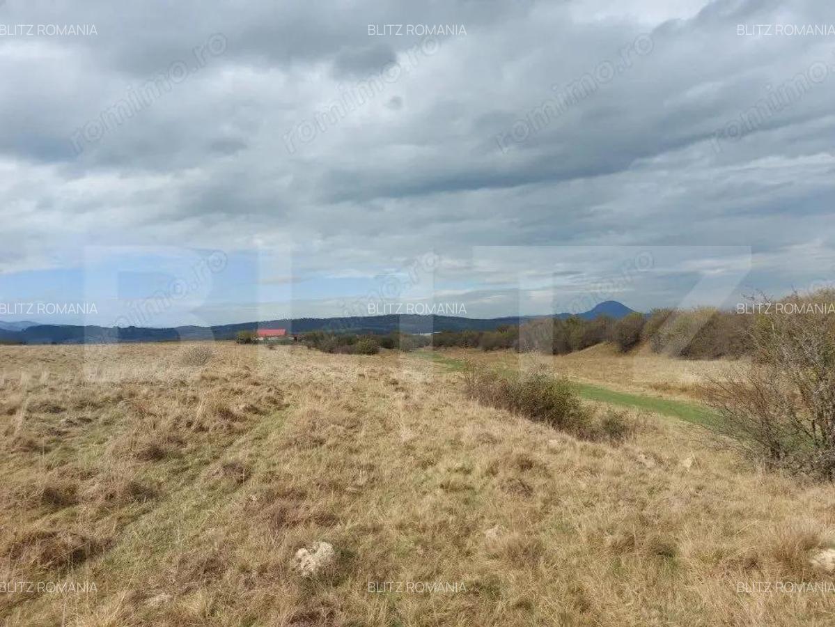 Teren de vanzare in Rasnov zona Glejerie, 10.000 mp - 3