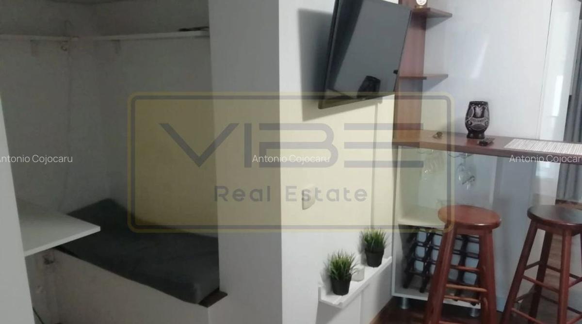 Popas Pacurari- Casa Auto Dacia - Apartament 1 camera - Parcare privata - 2