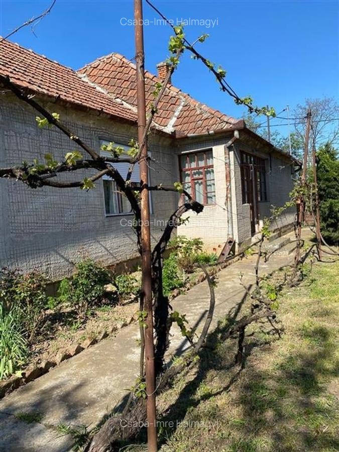 RECO Casa de renovat in Biharia - 2